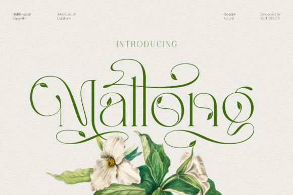 Mallong: Discover This Elegant Serif Typeface
