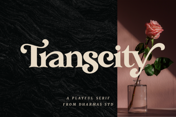 Transcity: A Bold & Elegant Serif for Modern Design