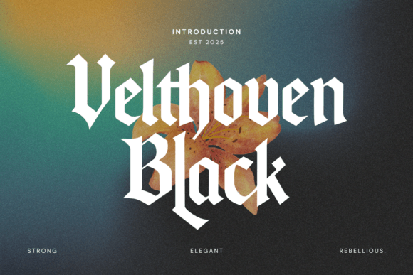 Velthoven Black: A Modern Blackletter Typeface with Gothic Edge